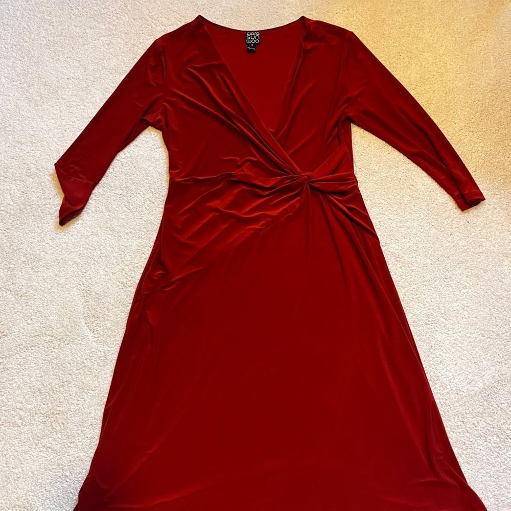 Clara Sun Woo burnt sienna pull over dress, size M